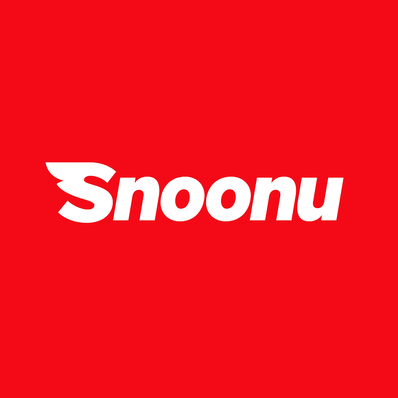 Order BAG on Snoonu